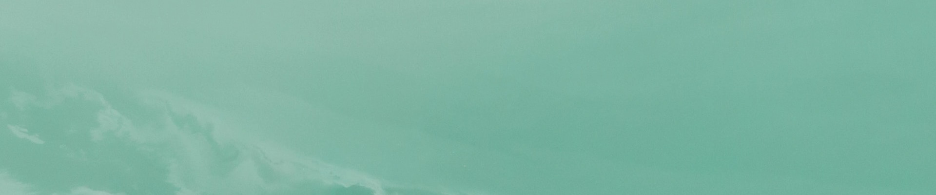 Dîner des décideurs